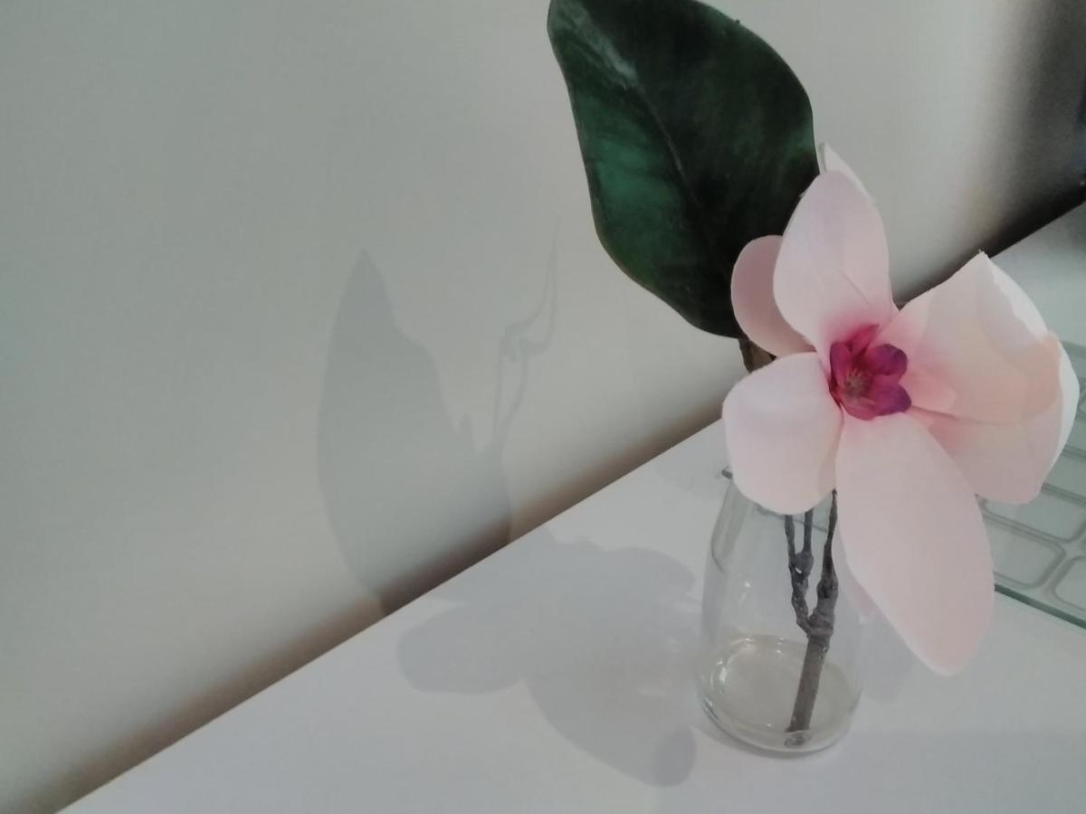 Windermere Studio Rooms - With Free Car Parking Onsite المظهر الخارجي الصورة