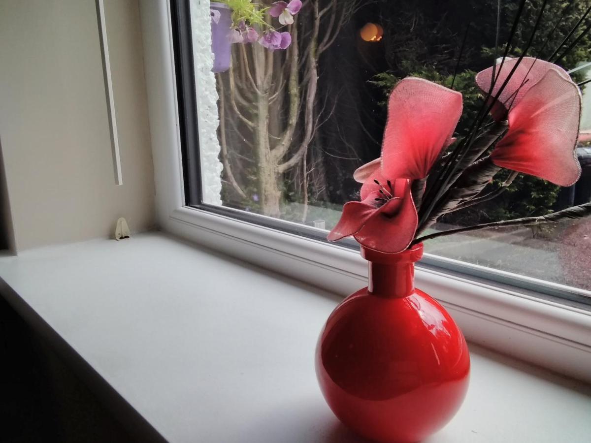 Windermere Studio Rooms - With Free Car Parking Onsite المظهر الخارجي الصورة
